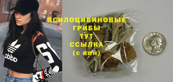 дурь Алексин
