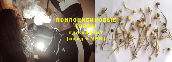 твердый Алзамай