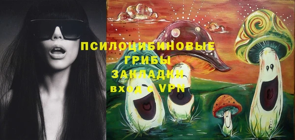 дживик Алексеевка