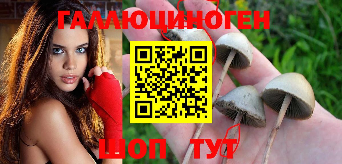 Галлюциногенные грибы GOLDEN TEACHER Темрюк
