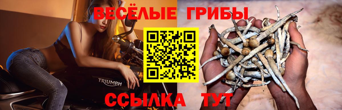 Псилоцибиновые грибы Cubensis  Вход с VPN  Темрюк 